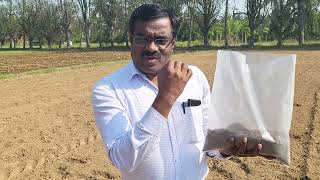 மண் சேகரிப்பு மற்றும் பரிசோதனை | Soil Sampling \u0026 Testing | KVK Virinjiouram | TNAU | Vellore