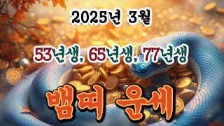 [뱀띠운세] 2025년 3월ㅣ53년생 65년생 77년생ㅣ사주ㅣ운세 ㅣ로또ㅣ재물운ㅣ금전운ㅣ노후 ㅣ#뱀띠#운세#사주#재물운