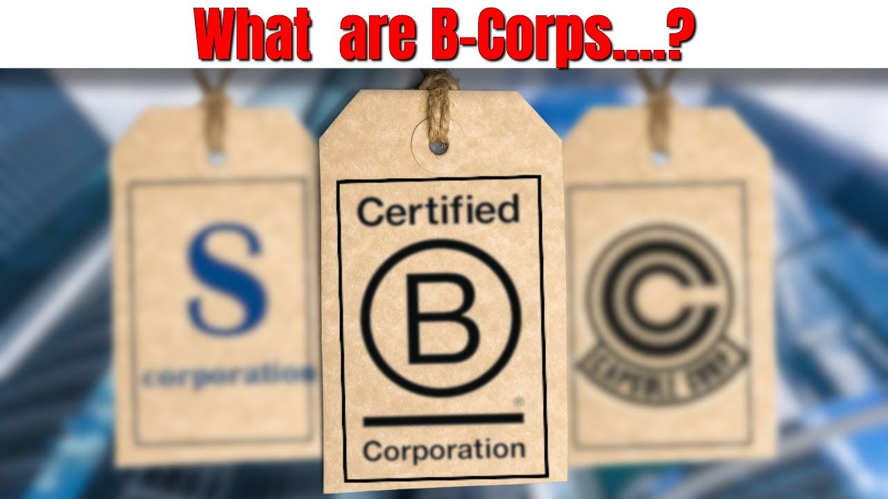 What Is A B Corporation (B-Corp)? - YouTube