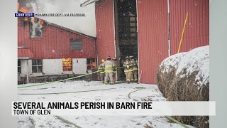 Several animals killed in Glen barn fire