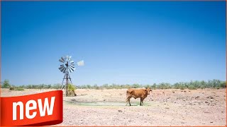 Australien schmort unter rekordverdächtiger Hitze