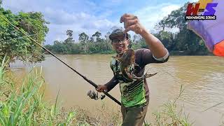 Bapak monster tewas | mancing disungai jelai pahang #wms-287