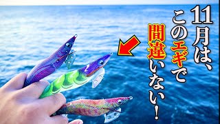 【エギング】短時間でこのエギがマジで釣れる！日中に渋くなるこの時期にオススメのエギでアオリイカを攻略します！