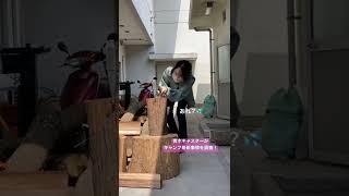 青木キャスターがキャンプ最新事情を調査！#shorts #青木美奈実