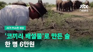 [AI가 Pick한 세상] '코끼리 배설물'로 만든 술…한 병 6만원 / JTBC 아침\u0026