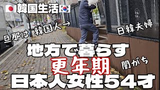 【韓国】清洲🇰🇷地方で定期的に鬱になる人が 野良猫に癒される生ぬるい動画 【韓国生活】