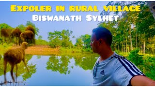 Exploring rural village in biswanath | Bangladeshi Travel vlog in sylhet | Shamim Khan