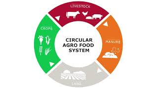 Martin Scholten: a Circular AgroFood System