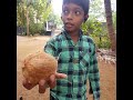 ஈசியாக தேங்காய் மட்டையை உரிப்பது எப்படி how to peel a coconut shell easily