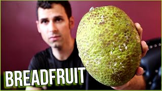 BREADFRUIT THE RIGHT WAY : 5 Ways to Cook This Fascinating Fruit! - Weird Fruit