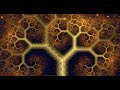 Fractals - Hunting the Hidden Dimension