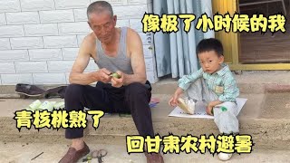 深漂9年回甘肃农村避暑，田园生活真的有想象中的那么美好吗？