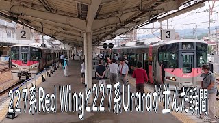 尾道駅にて227系Red WingとUraraが並んだ瞬間