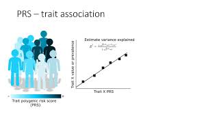 Polygenic risk scores