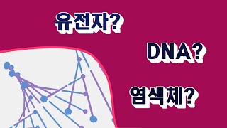 유전자 DNA 염색체 게놈 에 대해서 공부해봐요