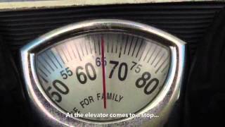 Elevator Physics