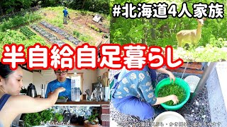 【半自給自足】北海道 手作りの暮らし｜家庭菜園｜野菜を使った料理｜４人家族