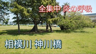 【神奈川県】穴場の無料河川敷【相模川 神川橋】【ソロキャンプ】