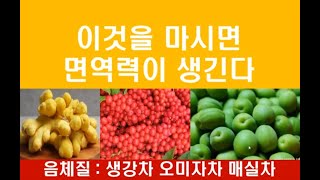 [한만억건강법]음체질만드세요/생강차/매실차/오미자차