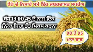 ਝੋਨੇ ਦੇ ਨਿਸਾਰੇ ਸਮੇਂ ਇੱਕ ਜਬਰਦਾਸਤ ਸਪਰੇਅ || NPK 13 00 45 ਦੇ ਨਾਲ ਇੱਕ ਨਿੱਕਾ ਜਿਹਾ ਤੱਤ ਮਿਕਸ ਕਰਨਾ