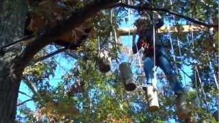 Asheville Treetops Adventure Park, NC