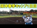 【阪神🐯虎党🔥集まれ】live❗❗❗2月1日🐯阪神タイガースキャンプ観戦 阪神タイガース 阪神 タイガース 阪神雑談 阪神春季キャンプ 宜野座キャンプ 沖縄キャンプ 阪神キャンプ