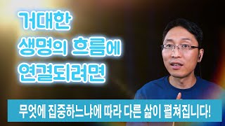 생명의 흐름에 연결되려면 | 무엇에 집중하느냐에 따라 다른 삶이 펼쳐집니다!