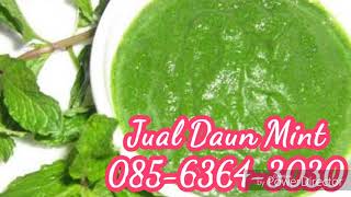 Jual Daun Mint Segar dan Kering Murah, higeinis, dan terjamin asli - 08563643030