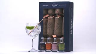 Ludlow Gin Commercial