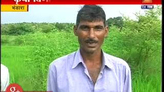 Bhandara Farmers In Problem Cause Of Rain