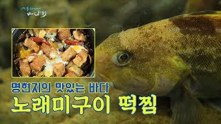 명현지셰프의 '노래미구이떡찜' 레시피 [맛있는바다]