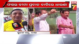 ଅତାବିରା ଓ ଭେଡେନର ଶତାଧିକ ଚାଷୀଙ୍କ ଧାରଣା || Farmers protest over crop insurance claims in Bargarh