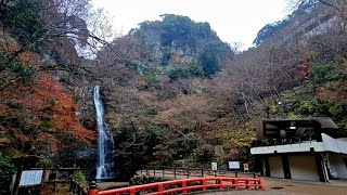 箕面滝道おもしろ動画　　　年の瀬、下り滝道を広角撮影、🍁華やかだった山々も冬支度