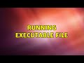 Ubuntu: Running executable file