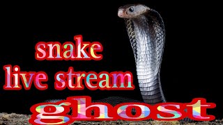 Shameer\u0026 Nisha  is live! Amazing snake cat ghost live stream