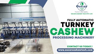 Fully Automatic Turnkey Cashew Processing Machinery, Cashew Machine, Cashew Cutting Machine