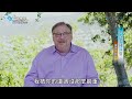 【中文發音】反敗為勝：從陷坑到王宮｜華理克 rick warren 奔向標竿 the purpose driven life