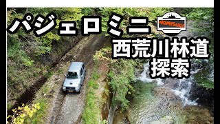 【林道探索】パジェロミニで西荒川林道本線探索