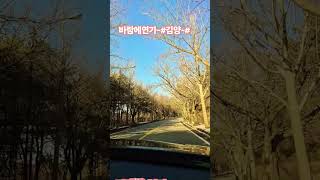 시골가는길에# 차도없고 조용한 예쁜길이네요#