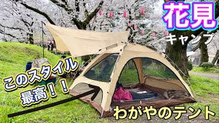 花見キャンプ🏕️わがやのテントといつかのタープ！このスタイルが最高✨DODとデリカD5