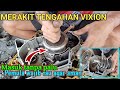 tahapan merakit tengahan(rasio)mesin vixion old-tanpa keker4s4n - Doer sts otomotif