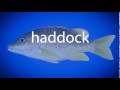 How to pronounce haddock