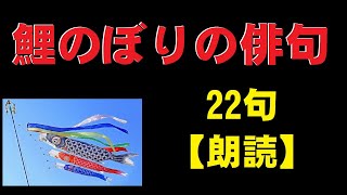 鯉のぼりの俳句   22句　【朗読】