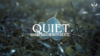 Quiet - Soaking Worship Instrumental | Prayer and Devotional