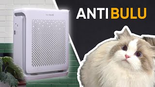 AIR PURIFIER BUAT HEWAN PELIHARAAN, ANTI BULU ANABUL KUCING ANJING - Review Levoit Pet Vital 200s