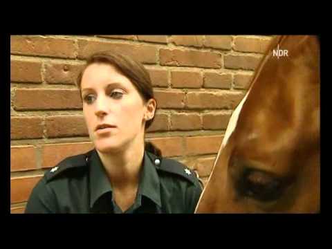 Polizeireiter In Ausbildung1 1 Youtube