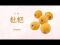 学中文40种水果 learn 40 fruits in chinese for kids u0026 beginners apprenez 40 fruits en chinois