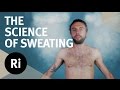 How To Sweat Less - The Science of Sweating How To Sweat Less - The Science of Sweating