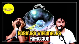 Reacción: 'Bosques Virginales' | LOS JAIVAS