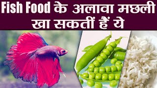 Fish Food Alternatives:पुराना फिश फूड खिला कर थक चुके हैं, तो अपनी मछली को दें सकतें हैं ये| Boldsky